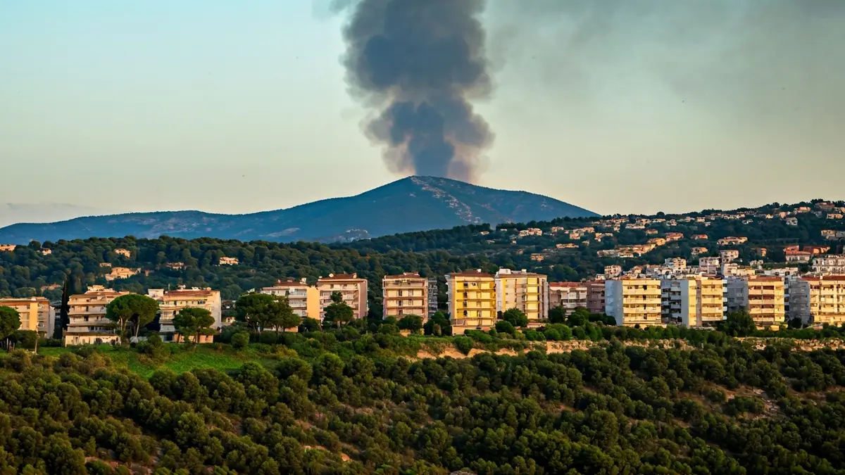 Image of a smoke column over a wooded area with houses in the background