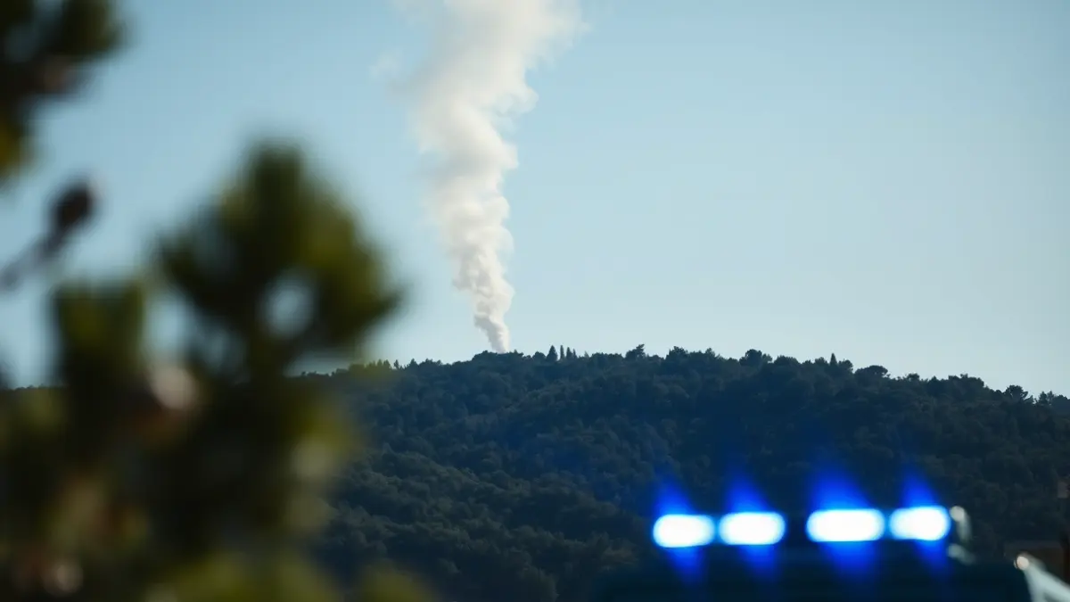 Imatge genèrica d'una columna de fum alçant-se sobre un bosc mediterrani, amb llums d'emergència desenfocades.