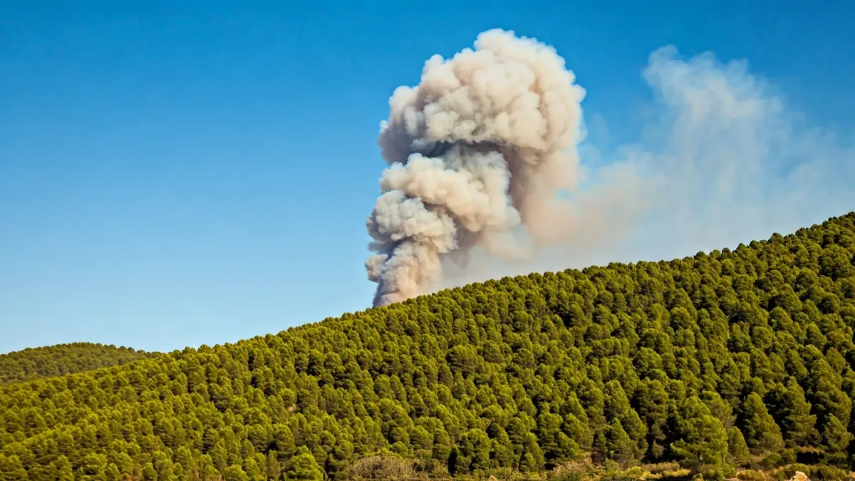 Imagen genérica de una columna de humo sobre un bosque mediterráneo.