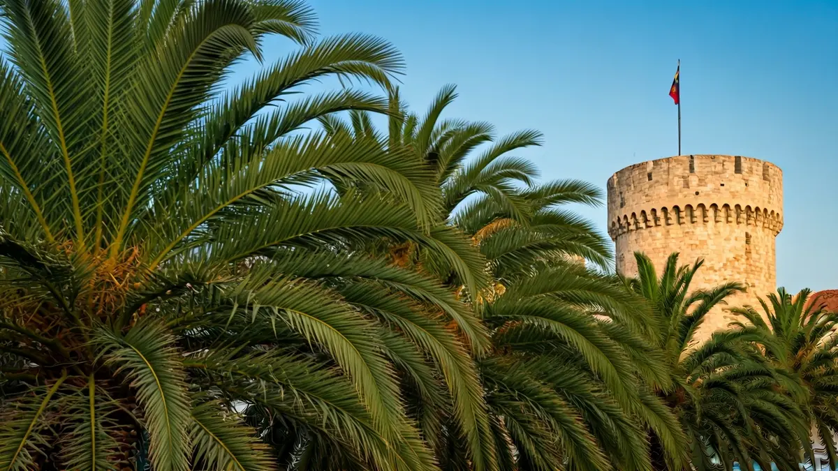 Imatge d'un palmerar amb una torre històrica al fons, sota la llum del sol de la vesprada.