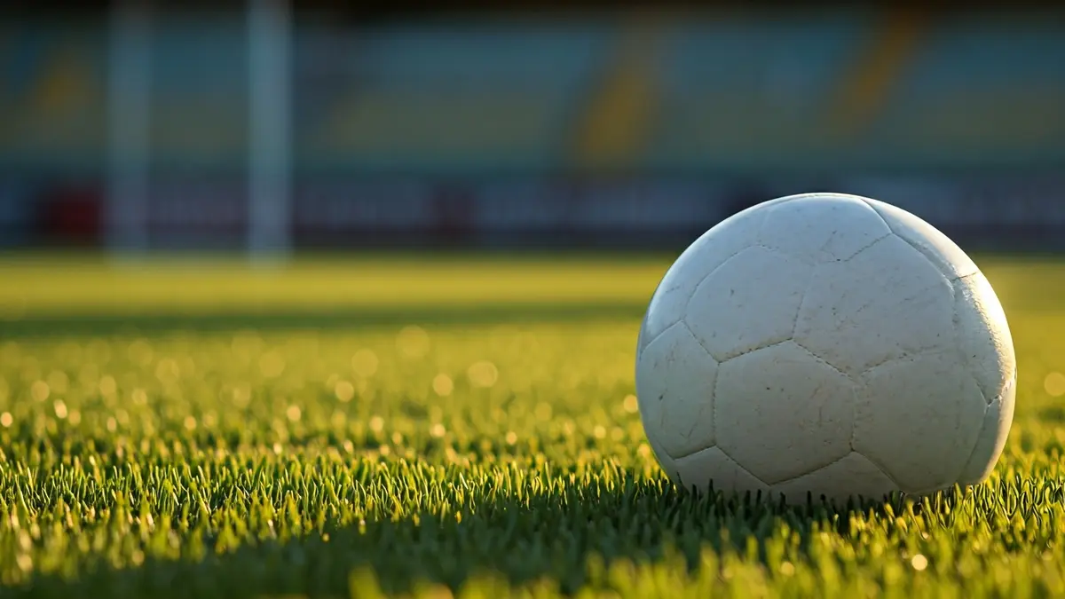 Imatge genèrica d'una pilota de futbol sobre la gespa d'un camp