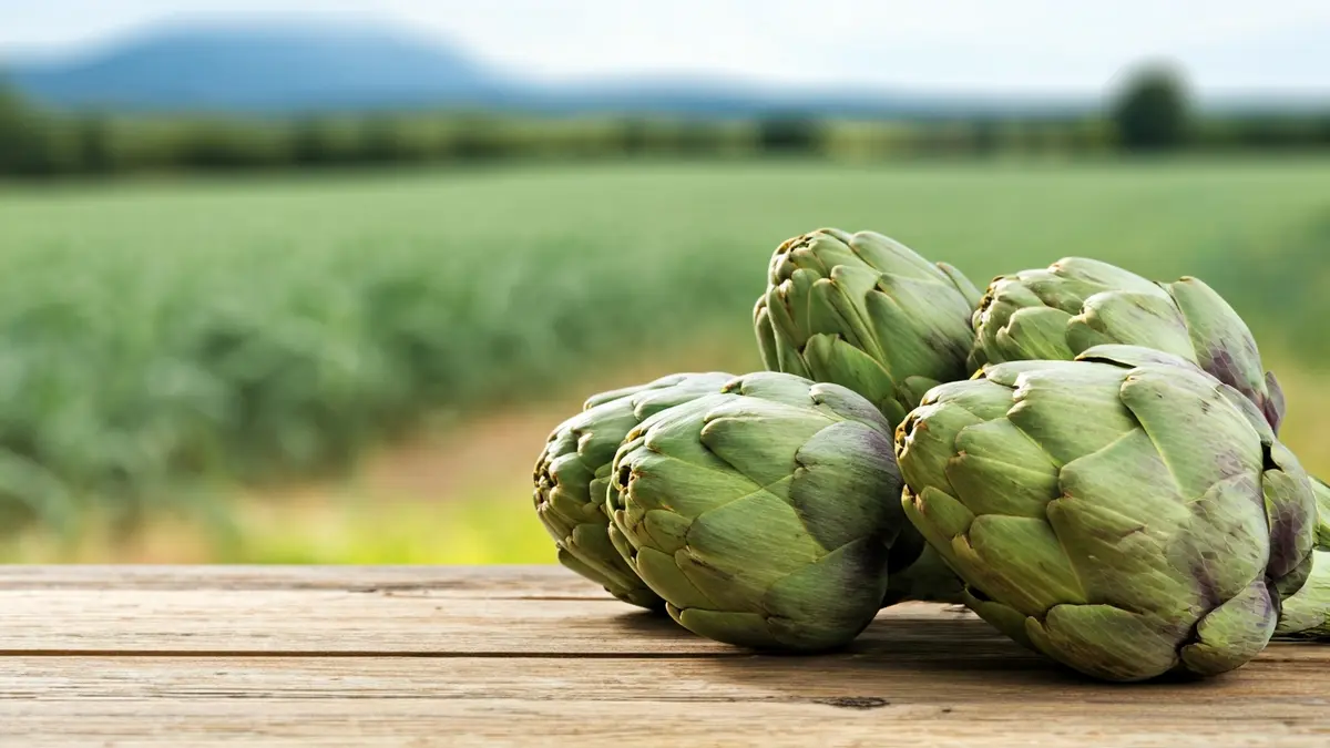 Imagen genérica de alcachofas frescas sobre una mesa de madera, con un campo agrícola mediterráneo de fondo.