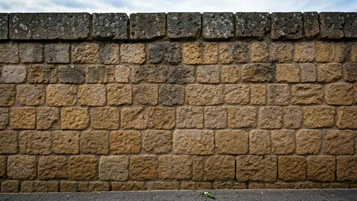 Imatge d'un paredó de pedra antic amb una flor, simbolitzant la memòria històrica.