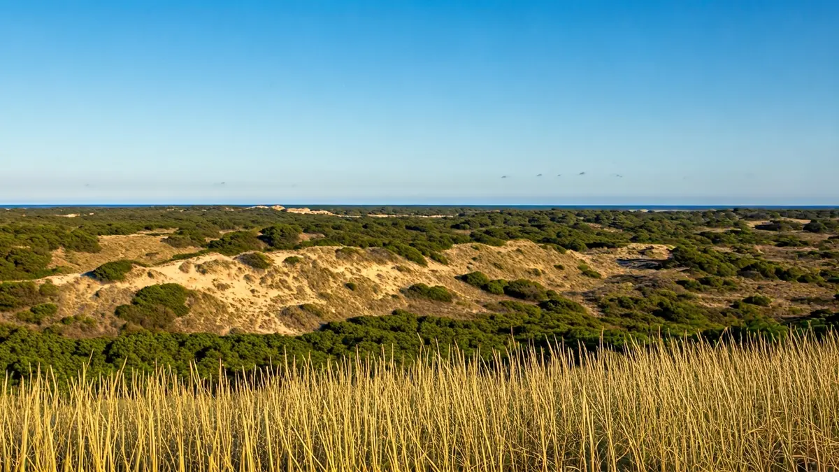 Imatge d'un paisatge de dunes interiors actives en una zona mediterrània, amb vegetació escassa i cel blau clar.