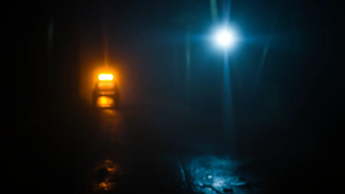 Generic image of emergency lights on a forest path at night.