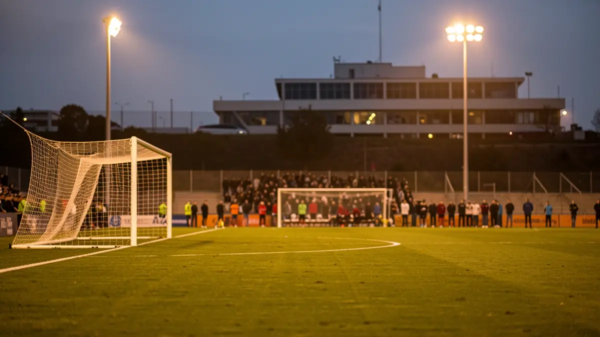 Generic image of a football pitch with stadium lights.