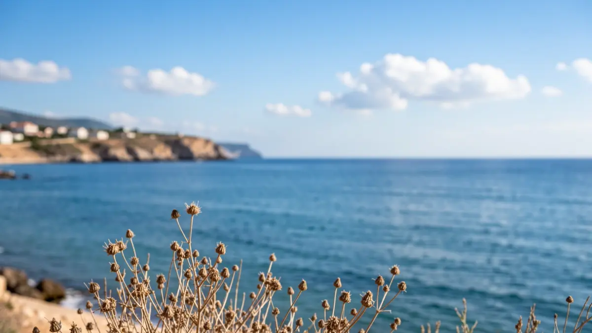 Imatge genèrica d'un cel blau i una costa mediterrània amb sol.