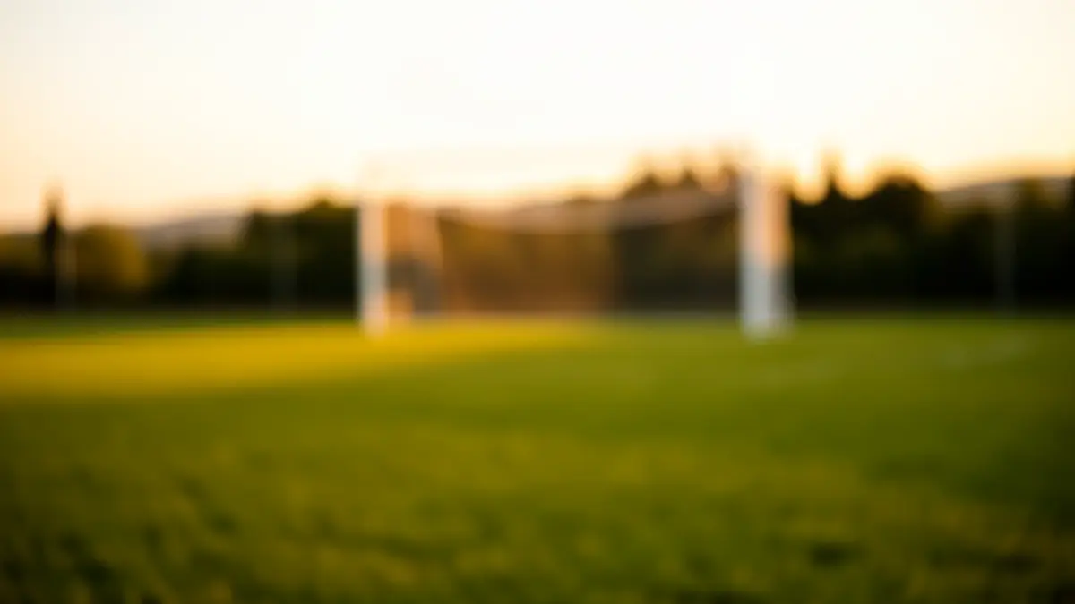 Generic image of a football pitch at sunset.