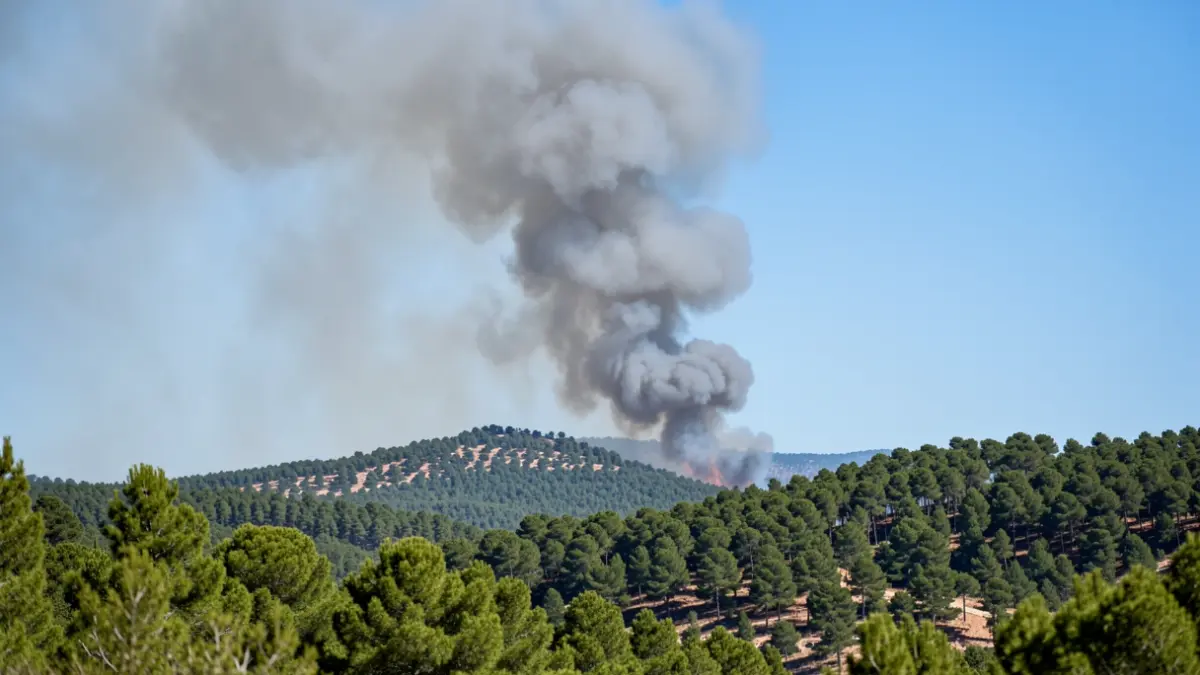 Imagen genérica de una columna de humo sobre un bosque verde.