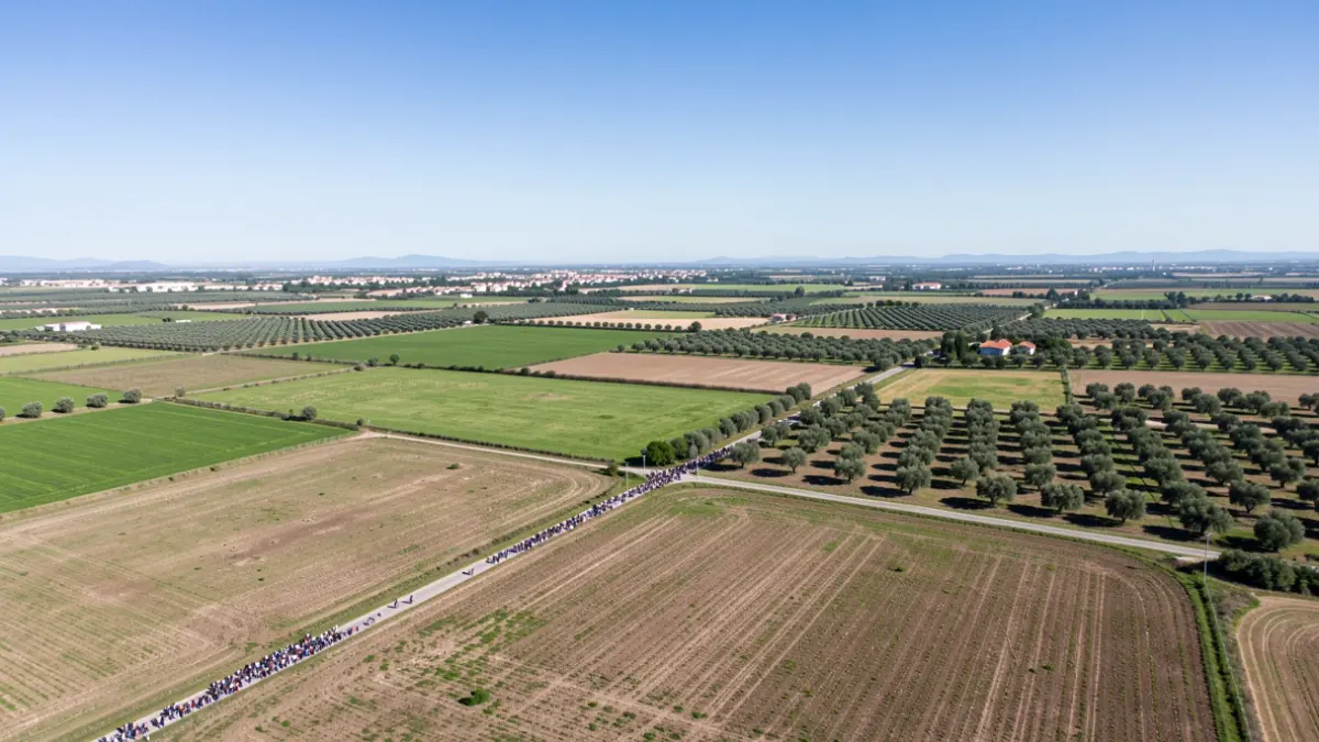 Generic image of agricultural fields in the Valencian Community.