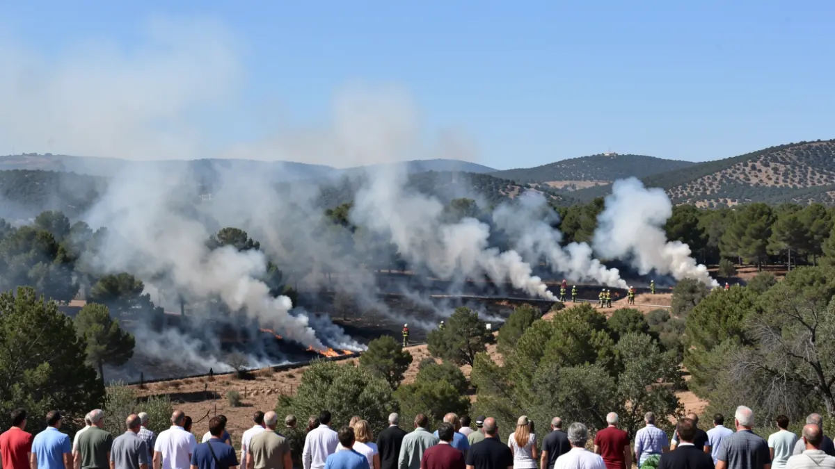 Imatge genèrica d'un incendi forestal estabilitzat a la Serra de la Calderona.