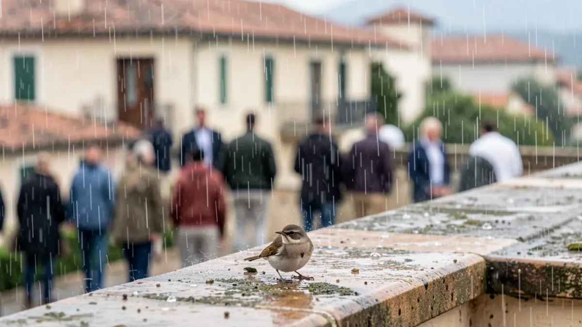 Generic image of a bird seeking shelter on a terrace during a storm.