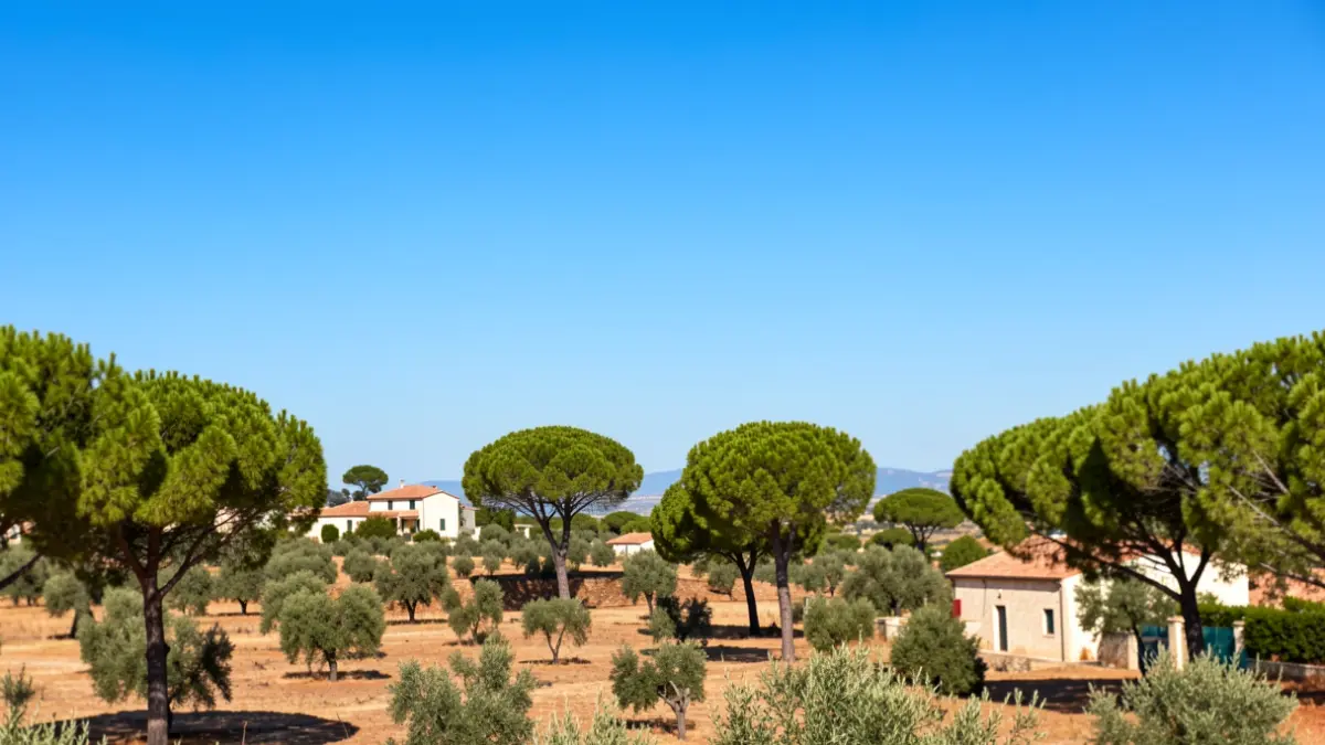 Generic image of a Mediterranean landscape with fire risk.