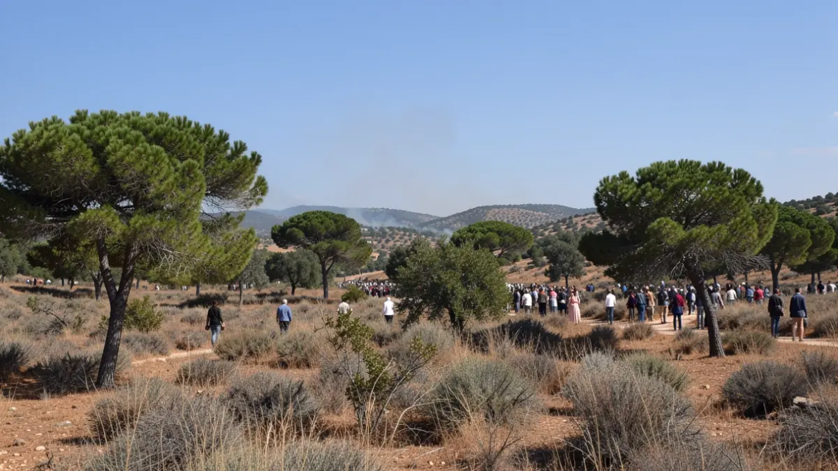Imagen genérica de vegetación mediterránea con humo al fondo.