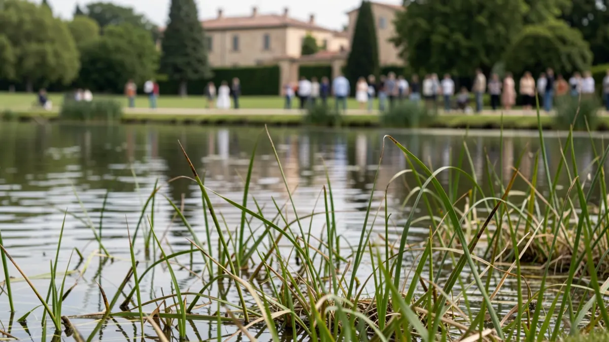 Imagen genérica de vegetación acuática en un lago con un parque al fondo.