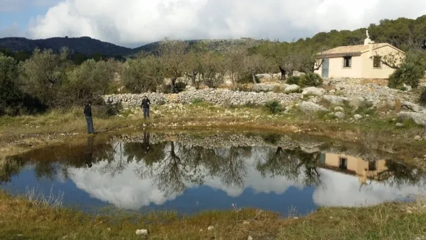 La biodiversitat de les basses millora el seu funcionament ecològic en regions àrides